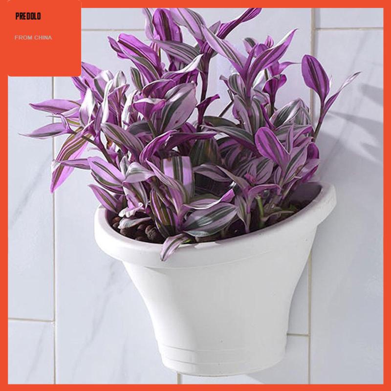 [Predolo] Pot Bunga Dinding Wall Planter Vas Planter Dengan Pengait Untuk Teras Balkon Kantor