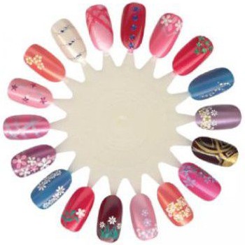 Wheel Nail Polish Color Chart/nail display color / display color chart / display kuku