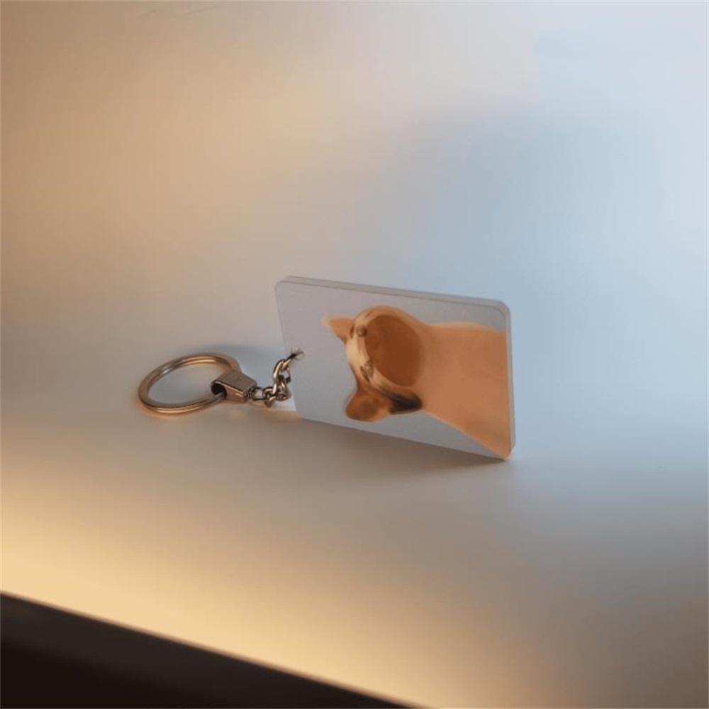 Pop Kucing Dinamis Gantungan Kunci Liontin Lucu Selebriti Internet 3D Kucing Ransel Akrilik Liontin Kreatif Mobil Gantungan Kunci Hadiah