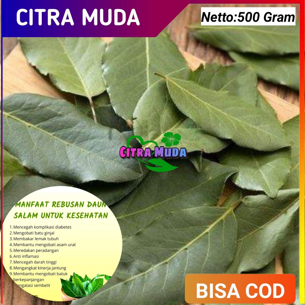 

Daun Salam Kering 500Gram Bumbu Herbal pilihan