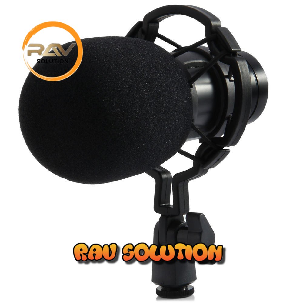 Professional Condenser Studio Microphone - BM800 - SET A RAV SOLUTION