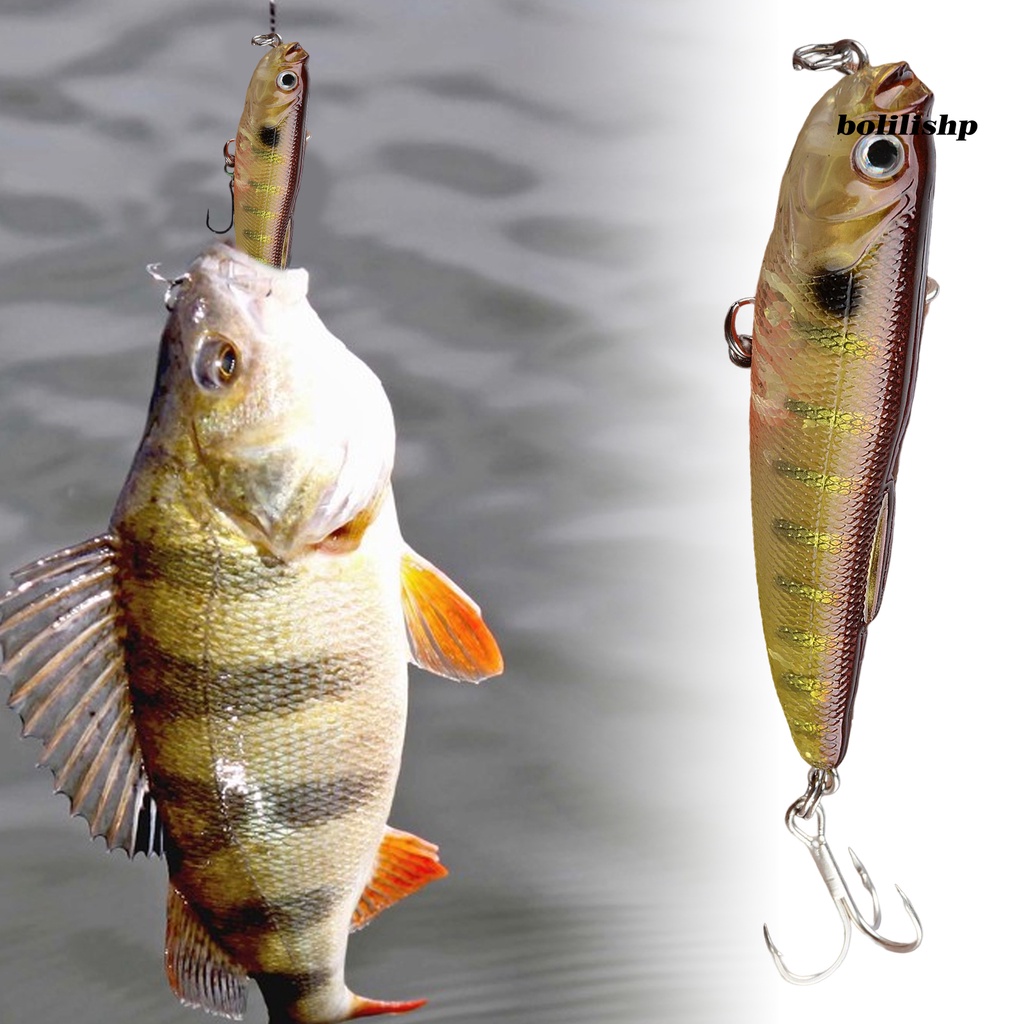 Bo-9g/9.2cm Umpan Pancing Kulit Hidup Simulasi Universal Reusable 3D Fisheyes Ikan Atraksi Compact Super Long Casting Mengambang Pensil Bass Umpan Alat Pancing