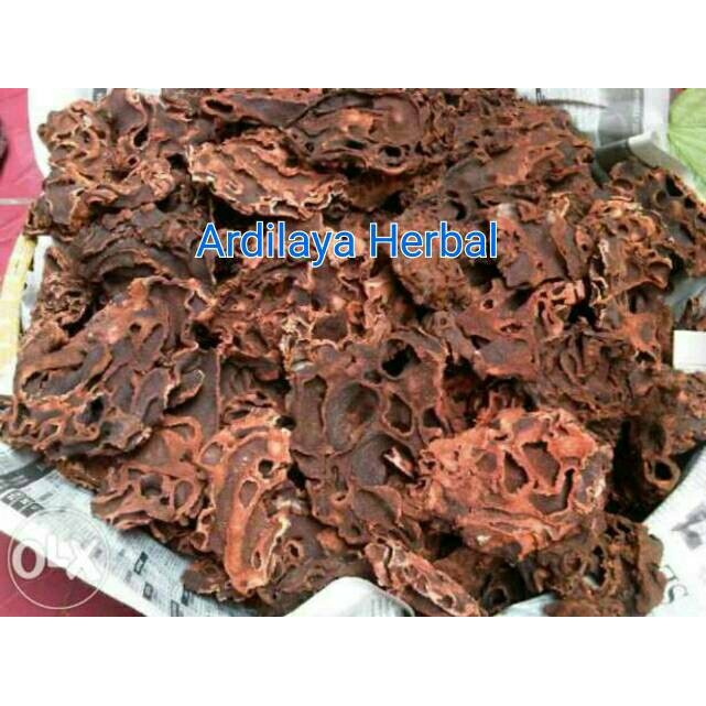 

sarang semut papua/sarang semut kering 500 gr 100% ASLI