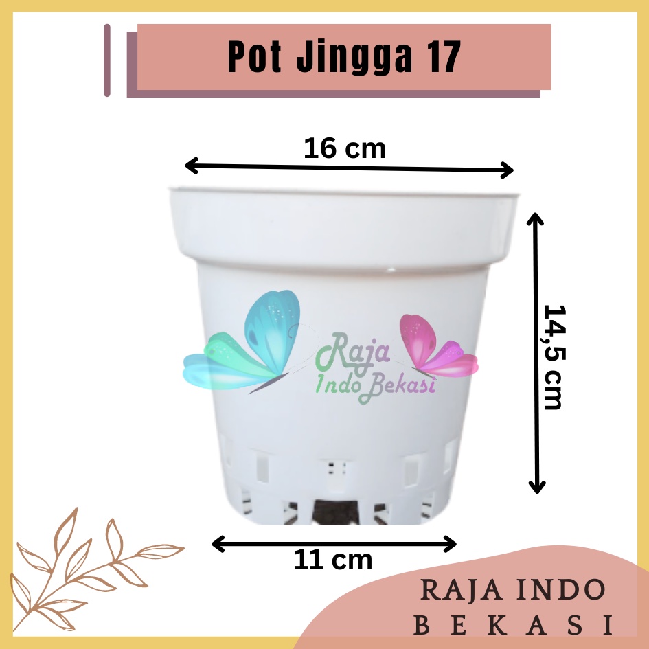 Pot Plastik Anggrek Jingga Uk 17 Pot Berlubang Pot Gantung Bunga Anggrek cantik