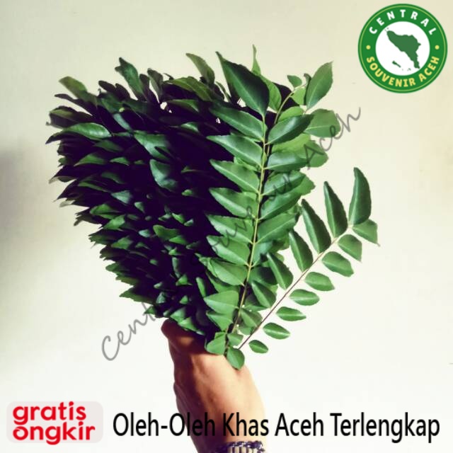 

Daun kari / salam koja