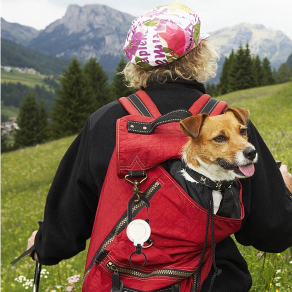 Ransel Luar Ruangan Gesper Gunung Tarik Mudah Ditarik/Klip Tali Ekspanding Bantalan Beban/Gantungan Kunci Sabuk &amp; Tas &amp; Sabuk/Gadget Penyimpanan Botol Air Untuk Camping &amp; Hiking