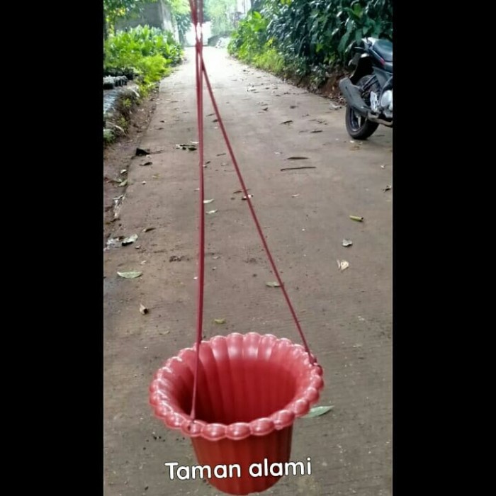 pot gantung - pot gantung plastik / TERMURAH