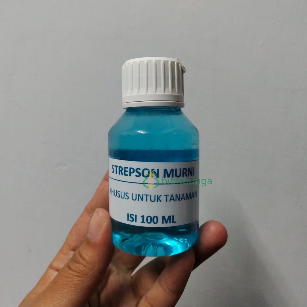 Hormon Strepson 100 ml Obat Varigata Variegata Permanen Tanaman Hias