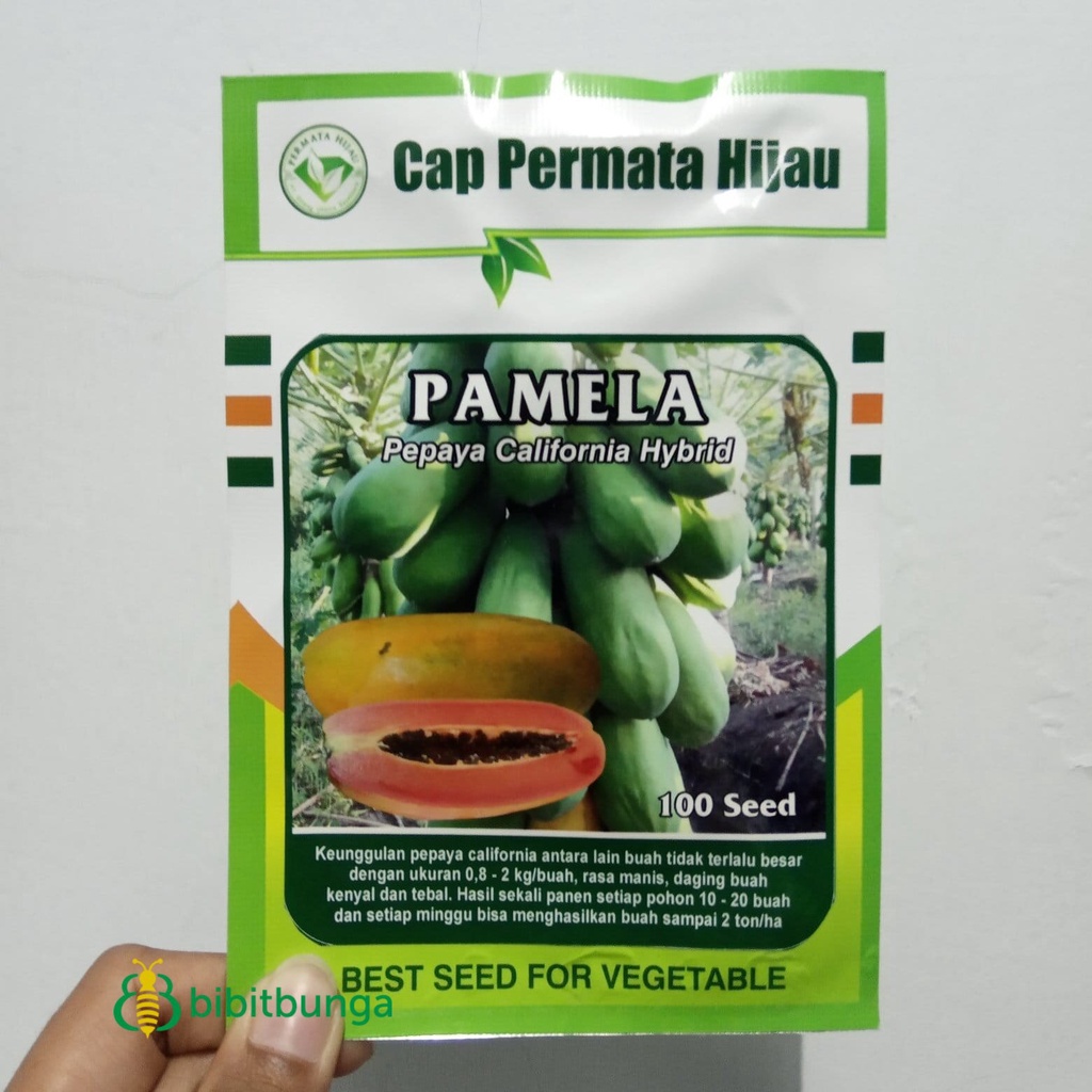 Benih Pepaya California PAMELA F1 Hibrida Bibit Buah Calina IPB Unggul