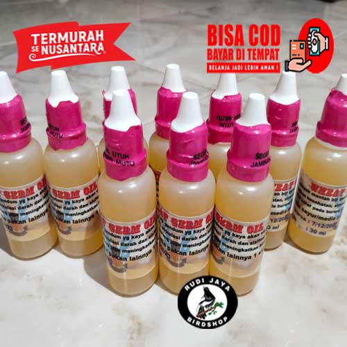 JUAL WGO DEWA SUPLEMEN DOPING VITAMIN TERNAK SEMUA BURUNG WHEAT GERM OIL MINYAK GANDUM MENTAH UNTUK 