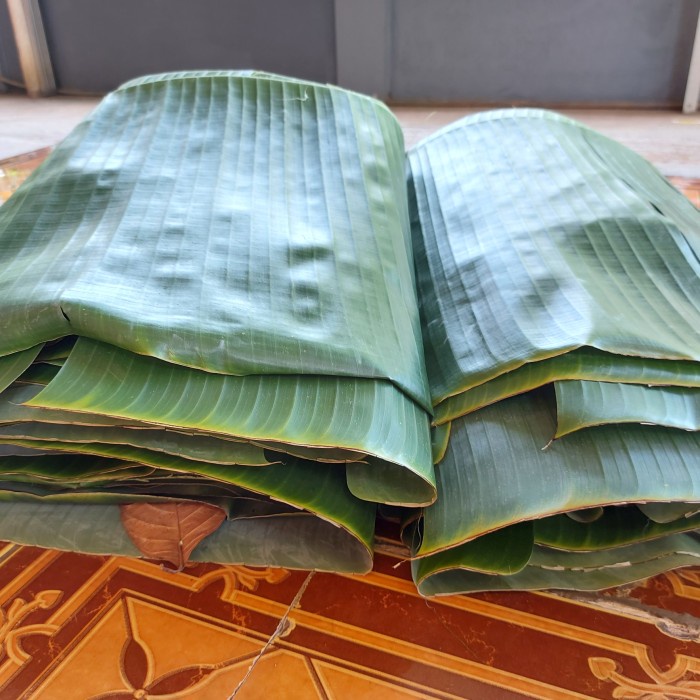 

Ready- daun pisang batu segar