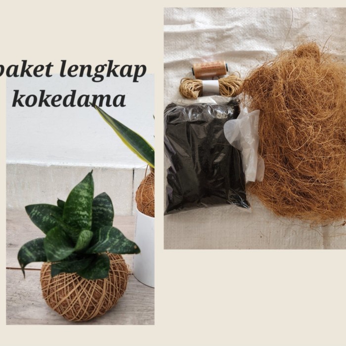 

paket kokedama lengkap