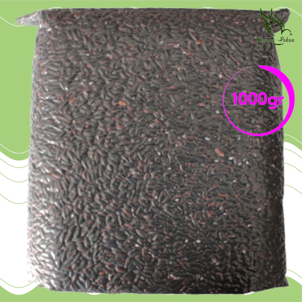 Ketan hitam 1000gr pakan burung