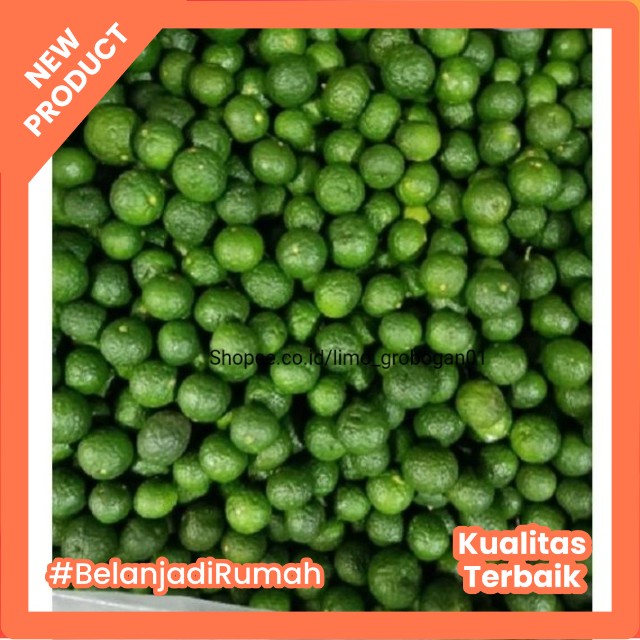 

Jeruk limau 50 kg fresh pesan baru petik