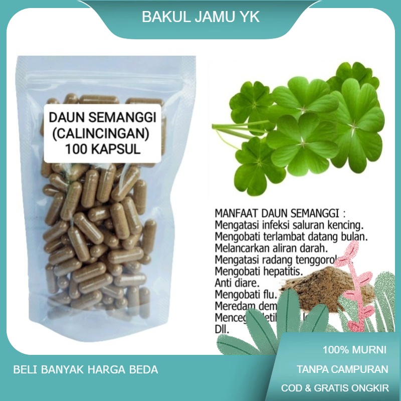 

DAUN SEMANGGI(calincingan) isi 100 kapsul untuk FLU dan Tulang.