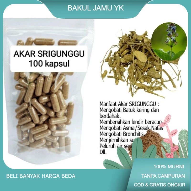 akar SRIGUNGGU isi 100 kapsul untuk gurah pernapasan hilangkan lendir