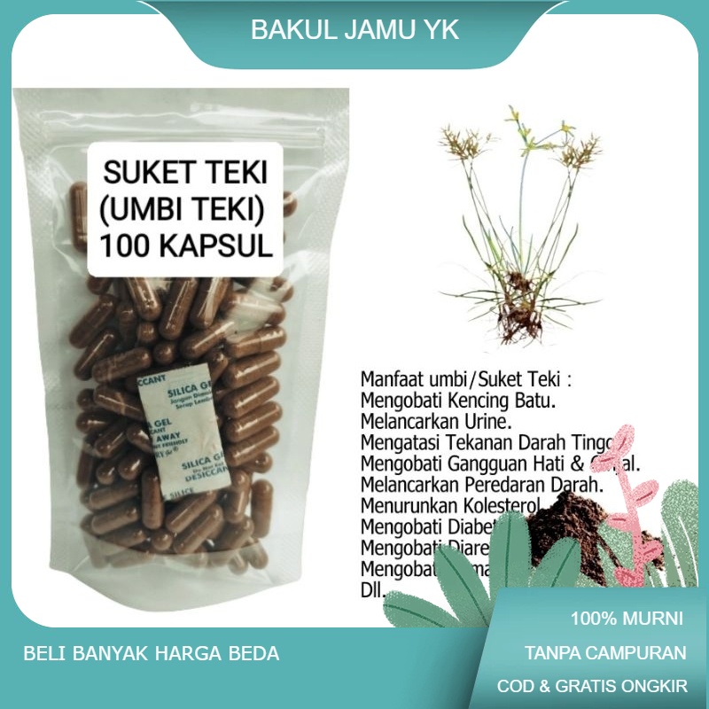 

UMBI/SUKET TEKI isi 100 kapsul untuk kolesterol dan jantung