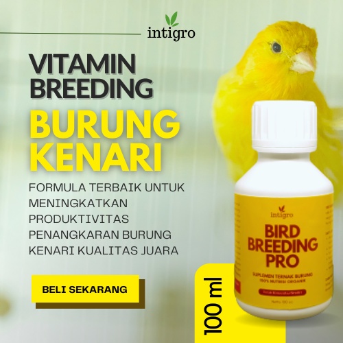 Vitamin Breding Burung Kenari Breeding / Vitamin Obat Ternak Burung Kenari / Vitamin Breeding Kenari _ Green Herbal