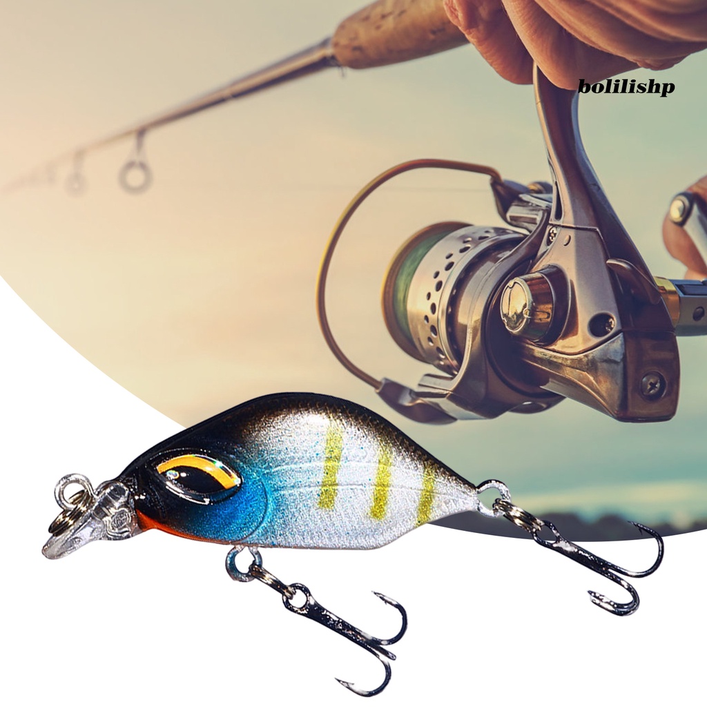 Bo-3.8cm/3.3g Ikan Kecil Umpan Simulasi 3D Fisheye Wobbler Kait Tajam Ganda Mencegah Pelarian Bass Laut Profesional Memancing Umpan Buatan Umpan Keras Memancing Tackle