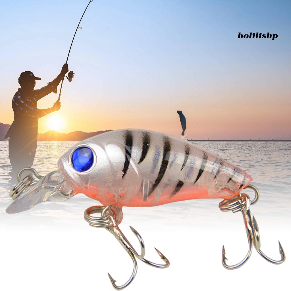 Bo-4g/4.5cm Umpan Pancing Mini Warna Terang 3D Fisheyes Tajam Kait Simulasi Ikan Atraksi Universal Mengambang Engkol Buatan Air Tawar Bass Umpan Keras Alat Pancing