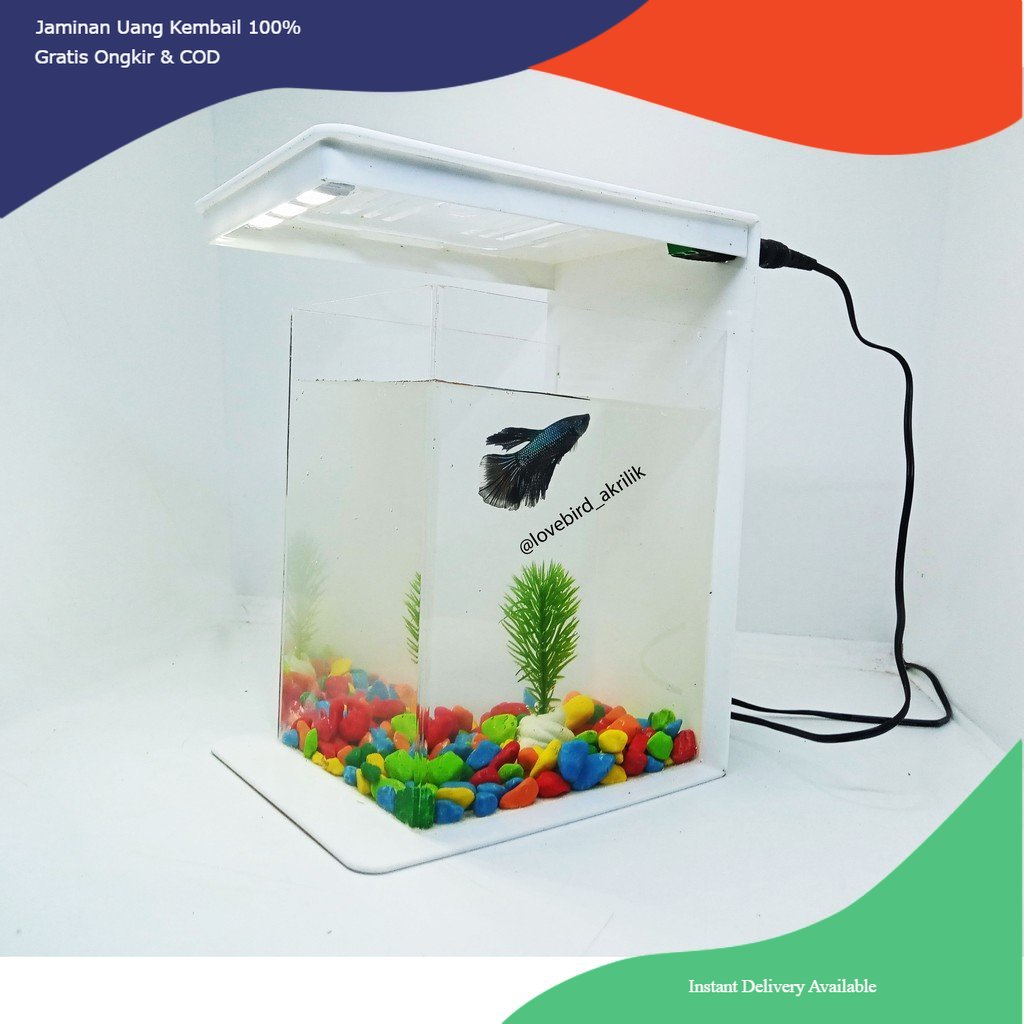 White Betta Fish Tank, Aquarium Mini Akrilik, Mini Aquascape, Aquascape Acrylic, Aquarium mini