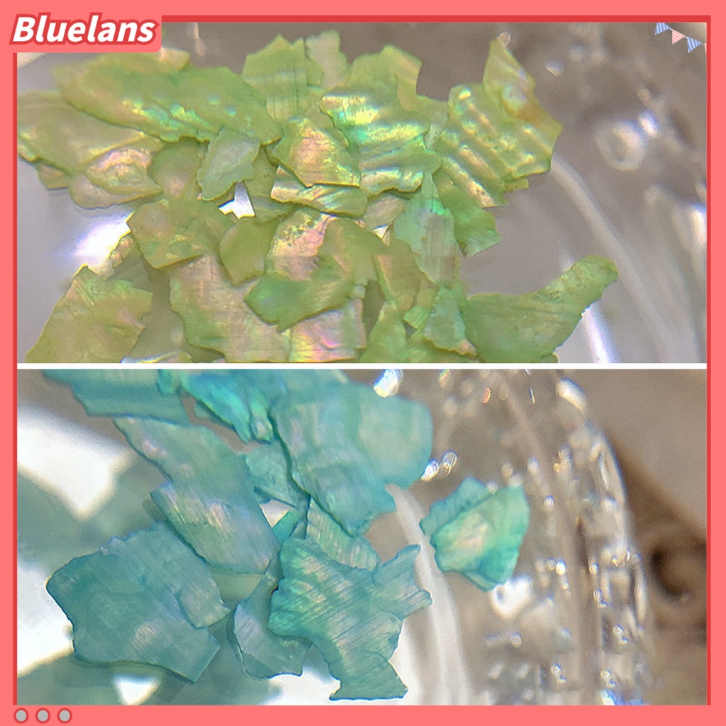 [BLM] Hiasan Kuku 12kisi Bentuk Tidak Teratur Tahan Lama Yang Dapat Dilepas Mudah Tempel DIY Serbaguna 3D Nail Art Shell UV Gel Manicure Dekorasi Perlengkapan Salon Kuku