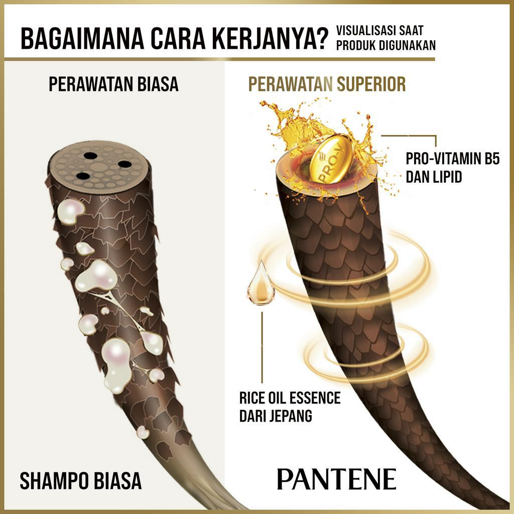 ★ BB ★ Pantene Shampoo Anti Lepek Series