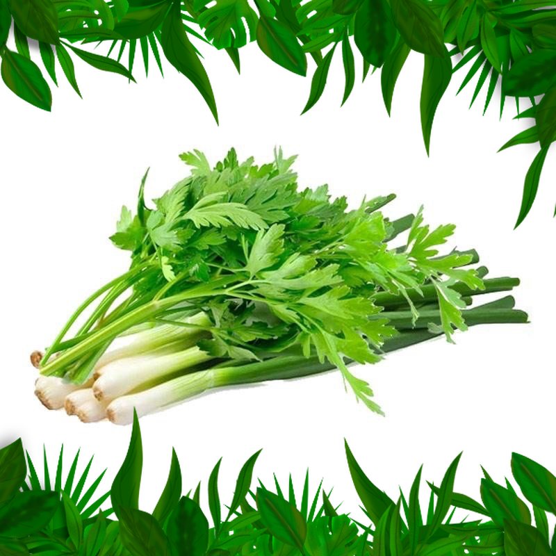 

SAYURAN FRESH NUSANTARA - PAKET DAUN BAWANG SELEDRI 1 IKAT