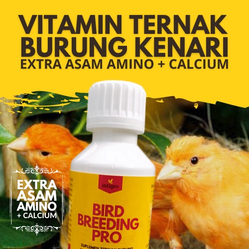 Vitamin Ternak Burung Kenari / Vitamin Obat Ternak Burung Kenari / Vitamin Breeding Kenari