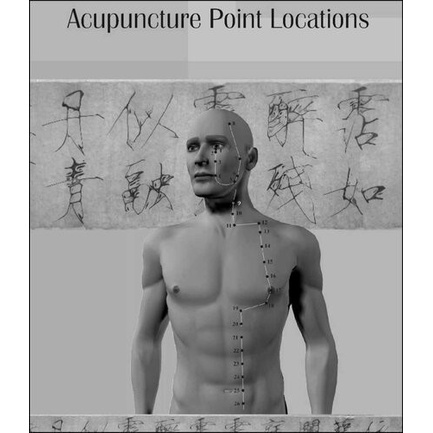 

Acupuncture Meridian Point Locations Atlas, John Urbanski