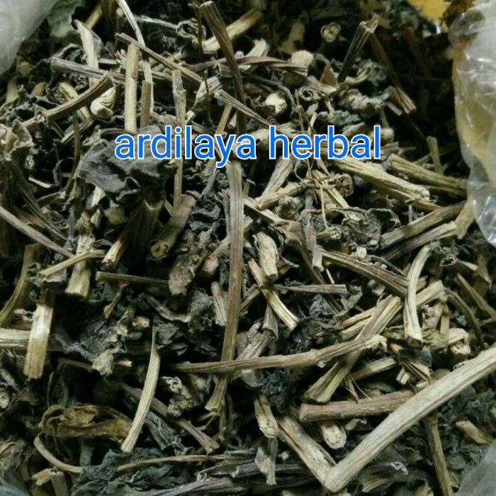 

binahong kering 500 gr 100% ASLI