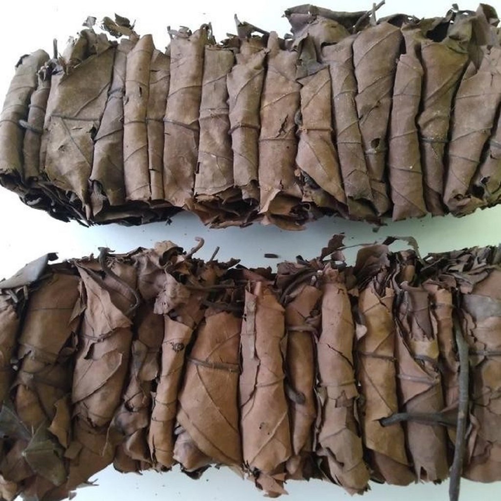

Daun Trawas Kering Rempah Jamu Herbal Tradisional Bau Mulut Bau Badan