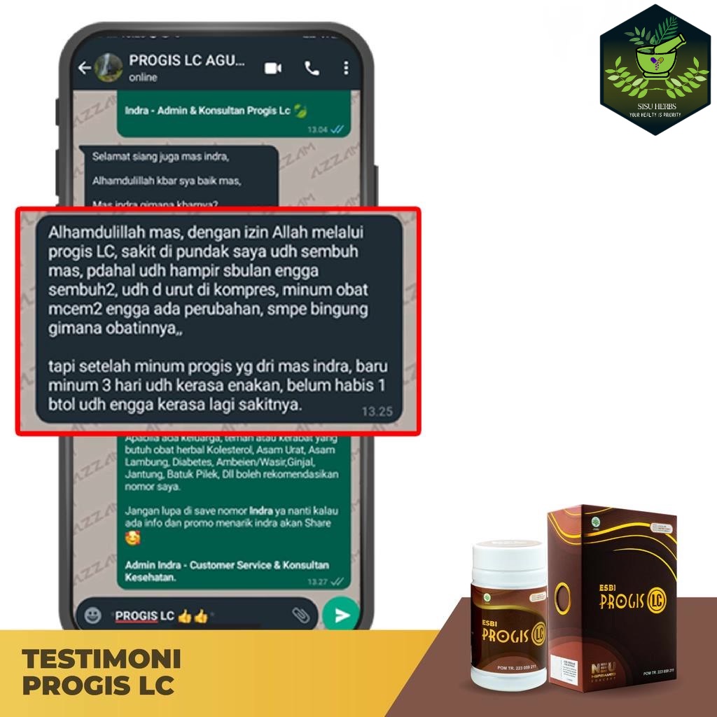 Esbi Progis LC Obat Saraf Kejepit Rematik dan Asam Urat Herbal Manjur ASLI ORIGINAL