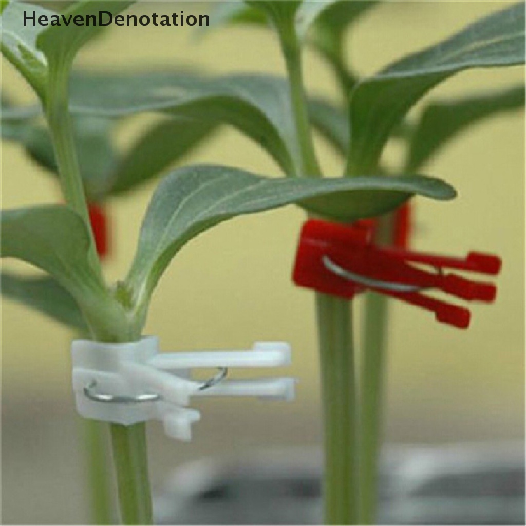[HeavenDenotation] 100pcs Klip grafg Plastik Kebun Sayur s Datar Dan Bulat HDV