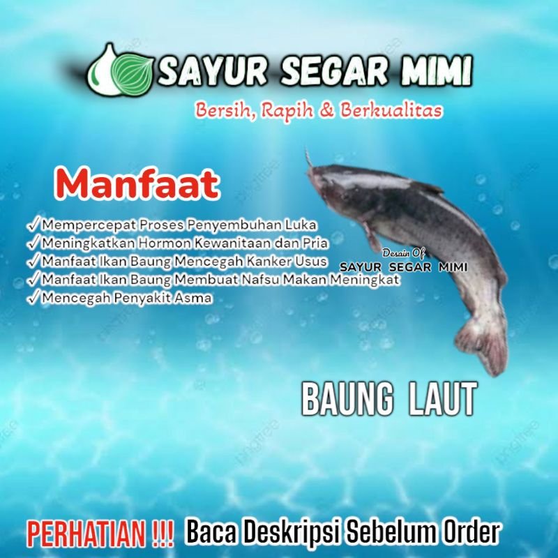

Daging Ikan Baung Laut - Sᴀʏᴜʀ Sᴇɢᴀʀ ♏ɪᴍɪ