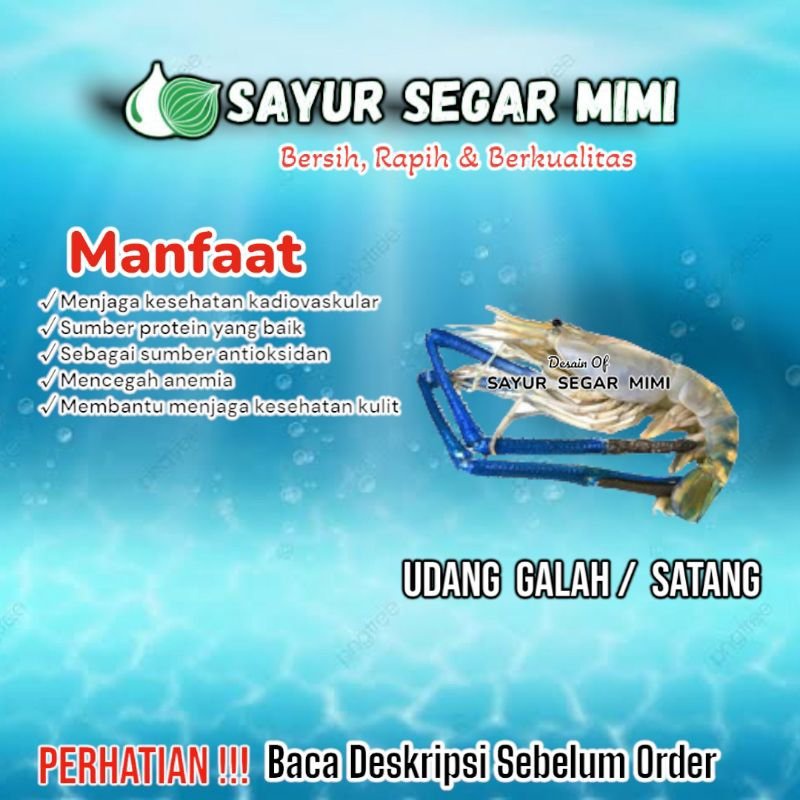 

Udang Galah / Satang - Sᴀʏᴜʀ Sᴇɢᴀʀ ♏ɪᴍɪ