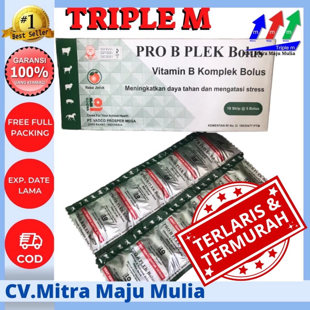 PRO B PLEK 1 Bolus / VITAMIN B KOMPLEK