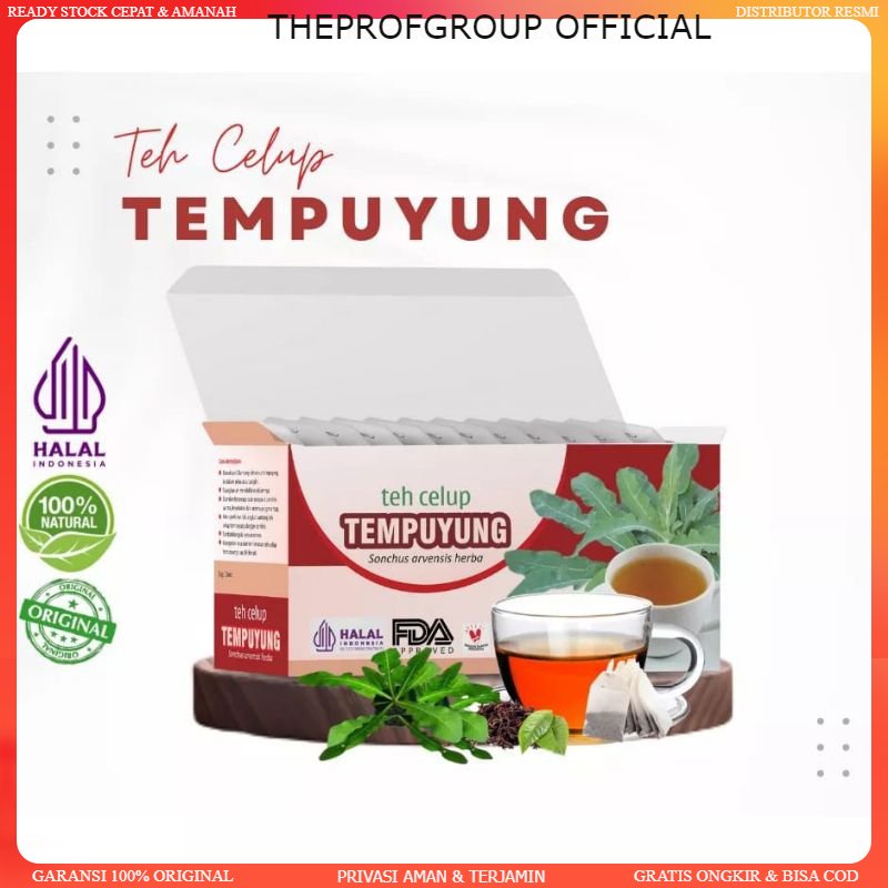 

Teh Celup Tempuyung Atasi Batu Ginjal & Masalah Buang Air Kecil