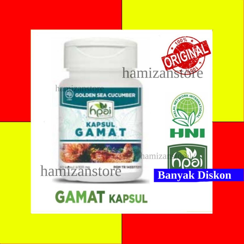 GAMAT Kapsul , Ekstrak dari Teripang Emas - HNI HPAI ORIGINAL