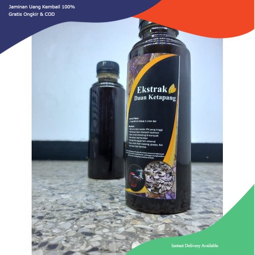 Ekstrak daun ketapang, extrak daun ketapang, ekstrak ketapang, cairan daun ketapang, air daun ketapa