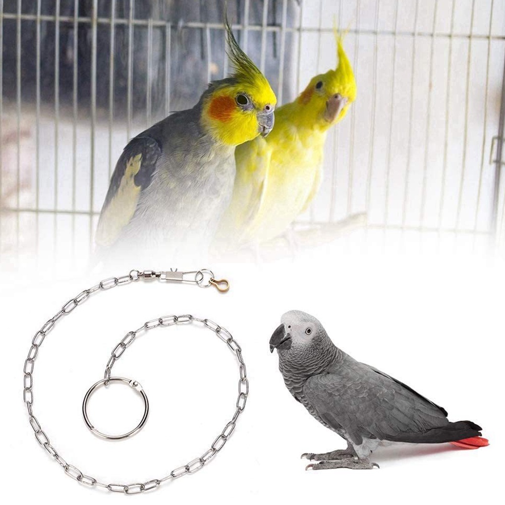 RANTAI BURUNG  MACAW ATAU PARROT 3.5MM/5.5MM/6.5MM/7.5MM