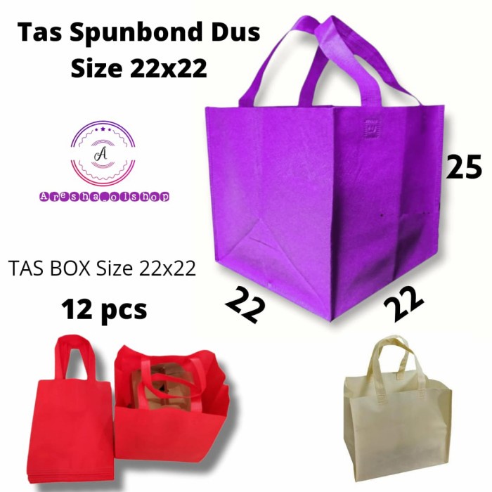 

[SC] Tas Spunbond Goodie Bag Box Tas Spunbond Dus 22 x 22 Cm - Biru Muda