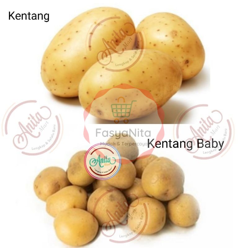 

Kentang | Besar Baby Potato - Anita Mart