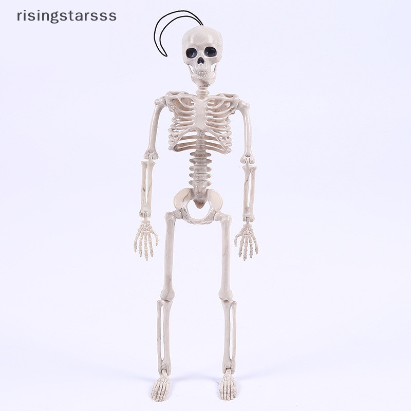 Rsid Span-new Posable Skeleton Halloween Decor Pria Mengerikan Tulang Merayap Dekorasi Pesta Jelly