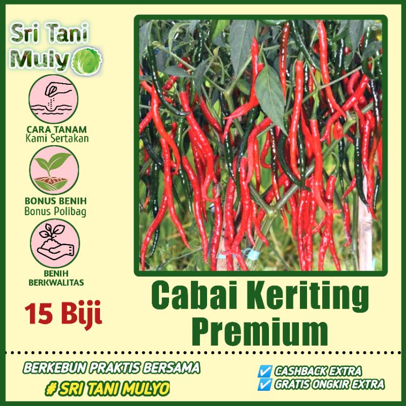 Isi 50 Benih Biji - Benih Cabai Keriting Kwalitas Premium - JACKO F1 - Tunas Agro - Bibit Sayuran Be