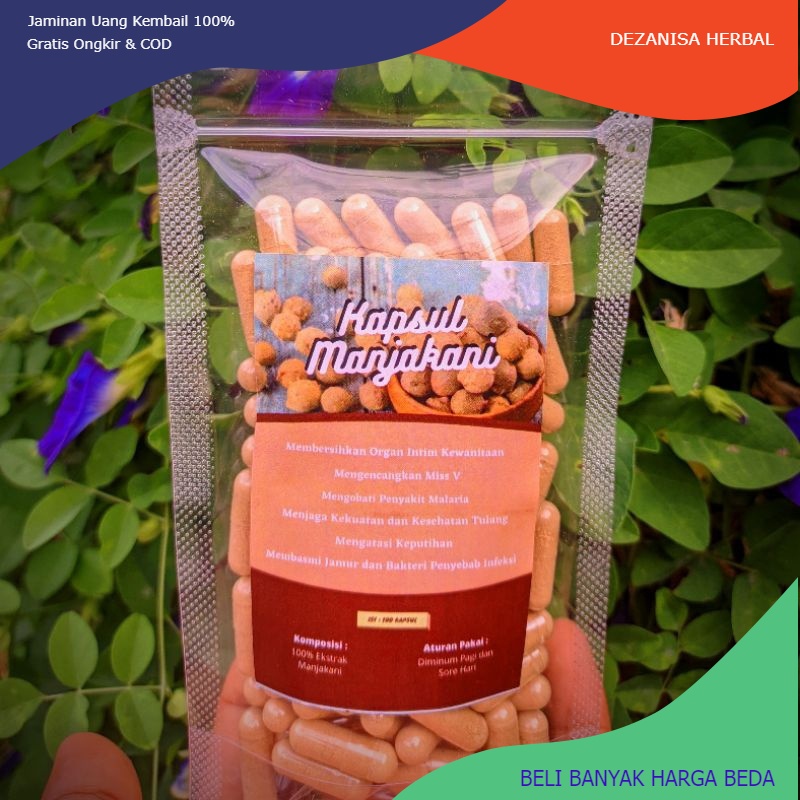 

Kapsul manjakani herbal (isi 100)