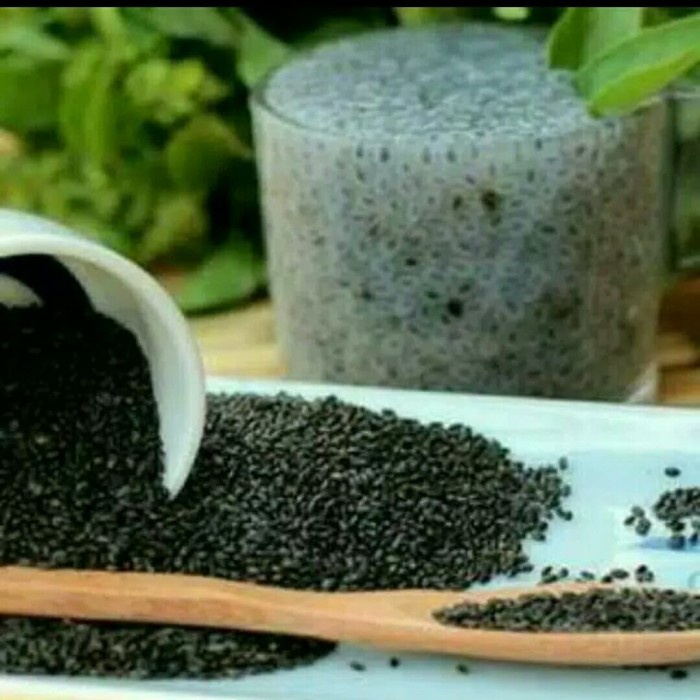 

[Ready Stock]Terjangkau Basil Seed Super 1Kg - Import / Biji Selasih Super 1Kg