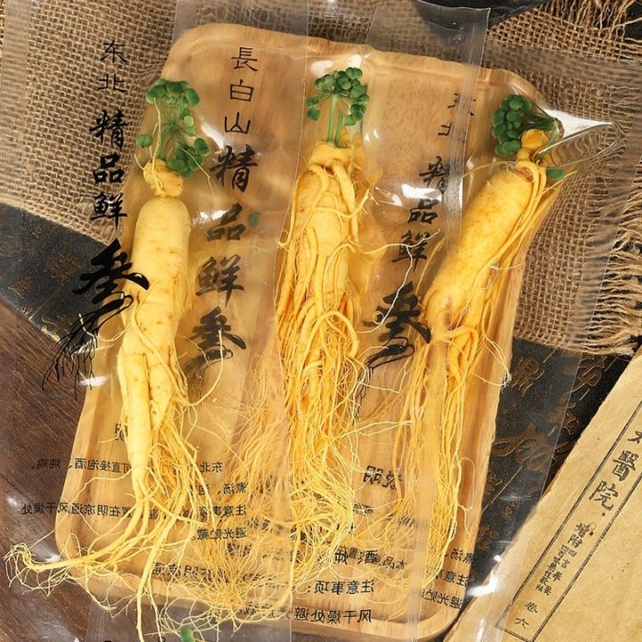 

Akar Ginseng Fresh Vacuum 100gram Akar ginseng segar