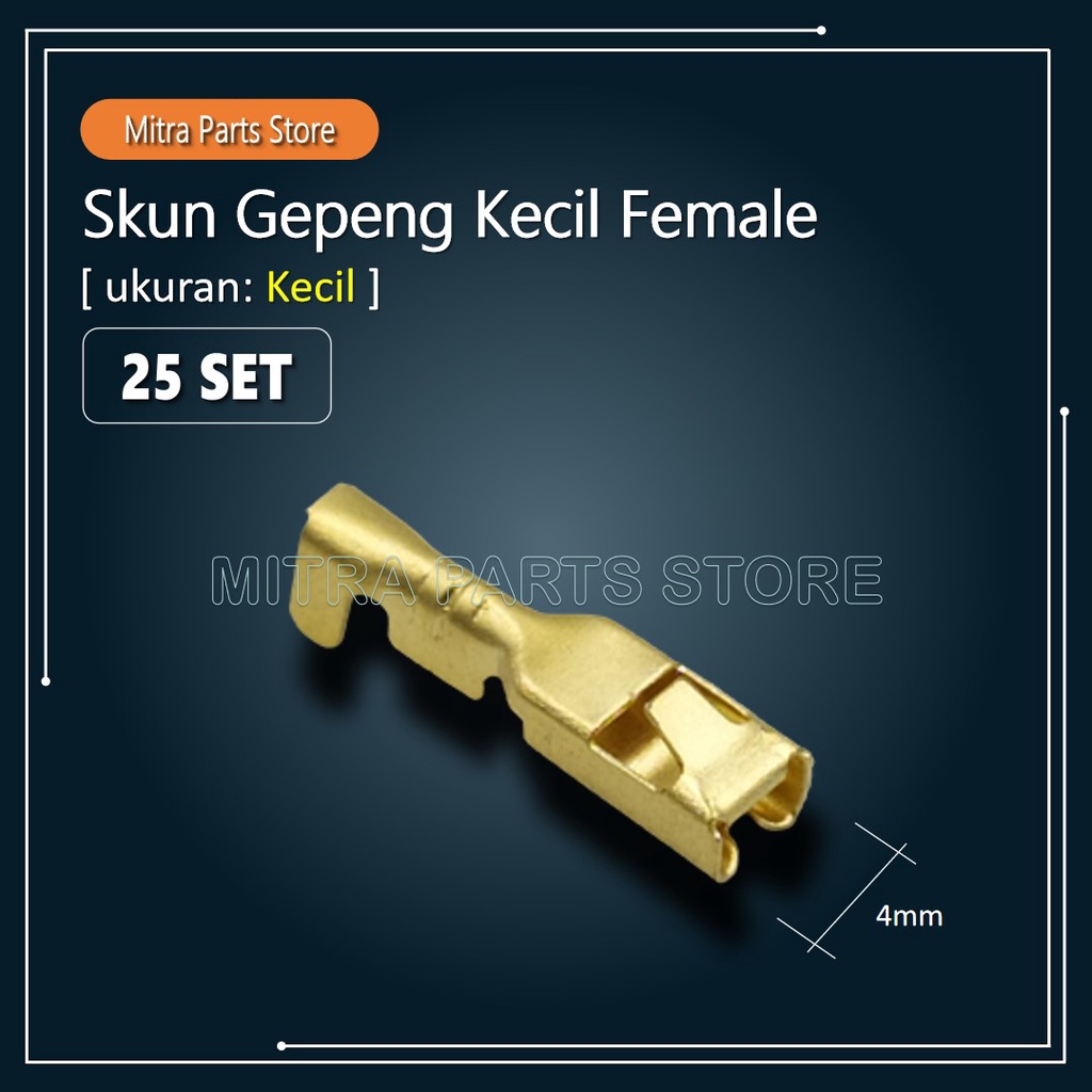 Skun Kabel Motor GEPENG CEWEK ukuran KECIL - 25 PCS untuk Soket Kabel Motor Socket Kabel Motor Sekun Kabel Motor Female