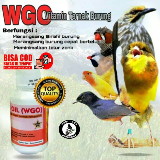 JUAL WGO BOTOL PUTIH KARDUS KUNING VITAMIN TERNAK SEMUA BURUNG BREEDING MURAI KACER KENARI LOVEBIRD